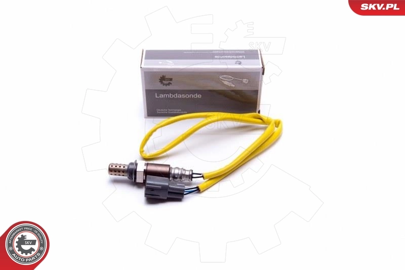 Oxygen Sensor